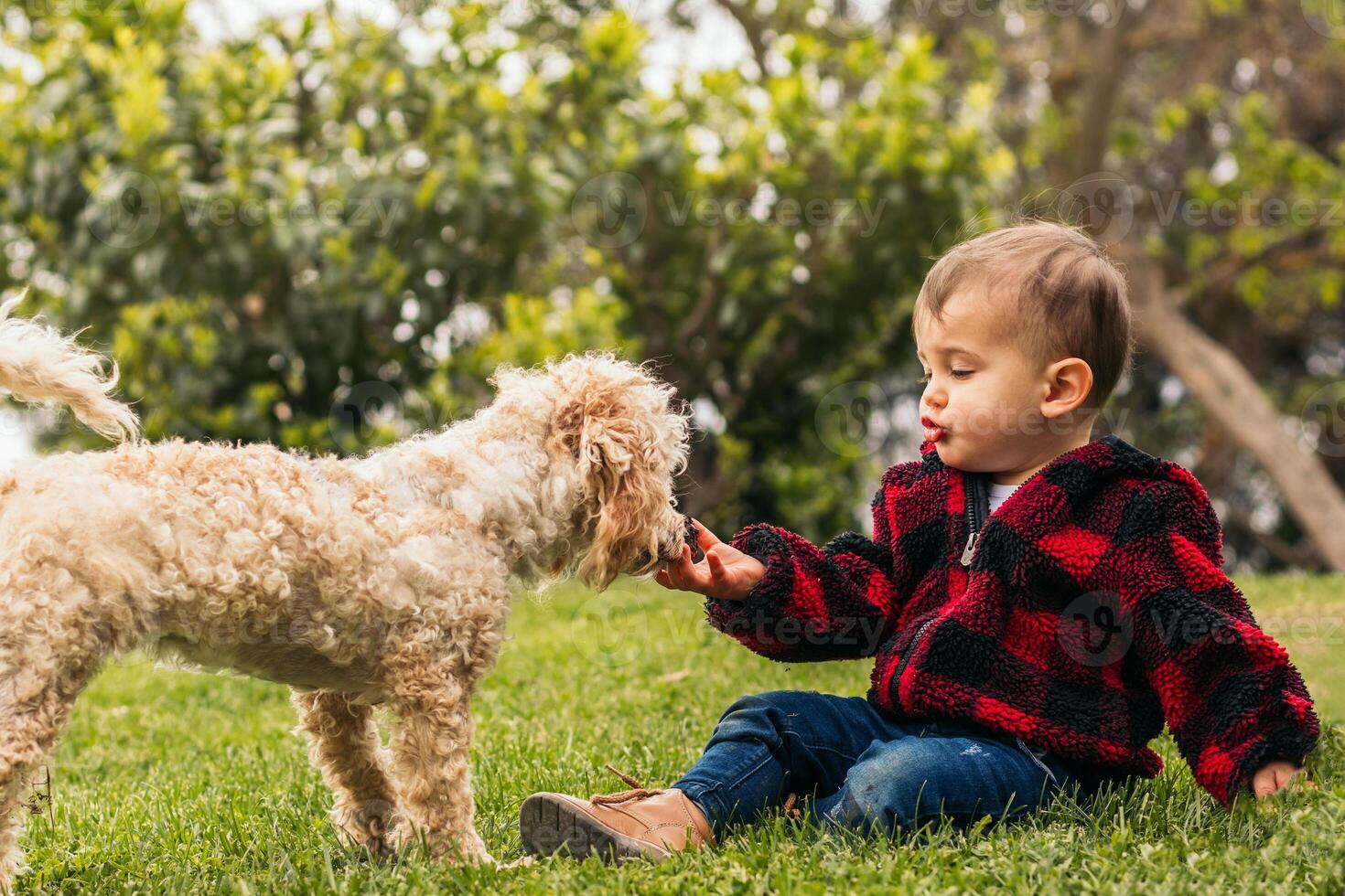 cute baby playing with a dog in a park photo