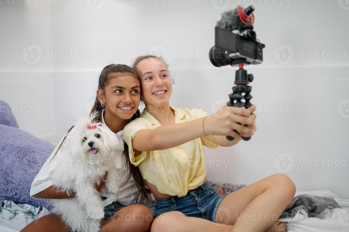Teenage girlfriends taking selfie on camera photo