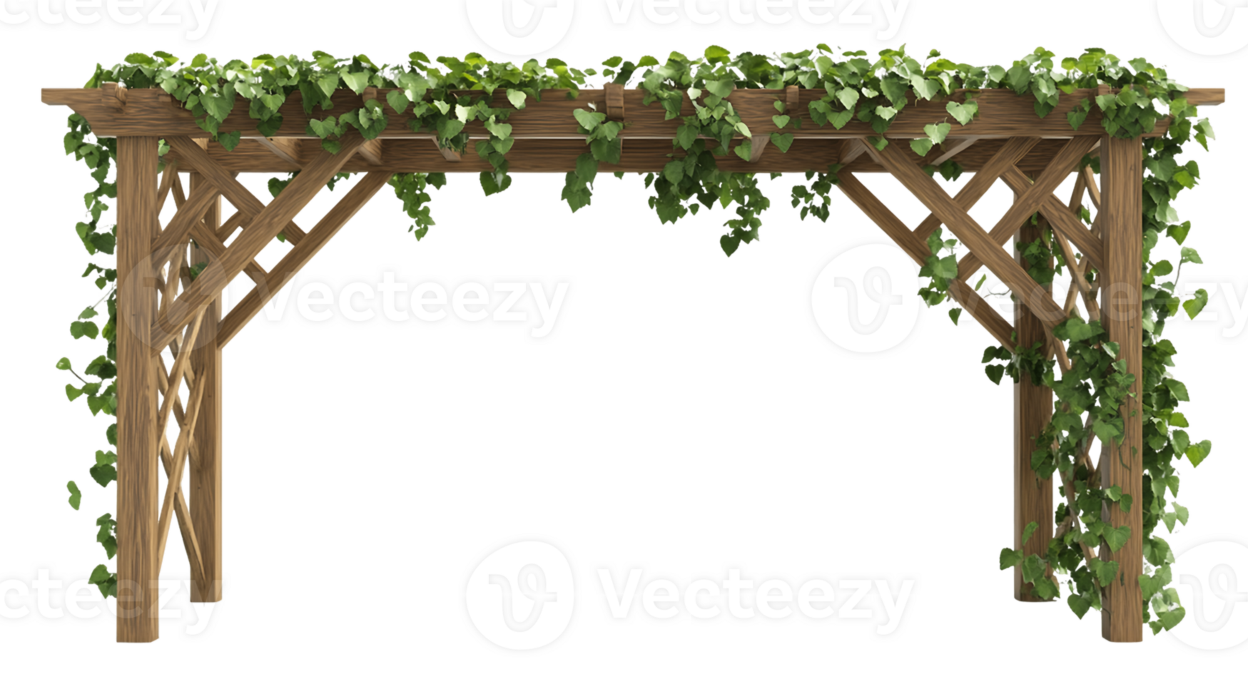 Lush Green Ivy Covered Wooden Pergola on Transparent Background png