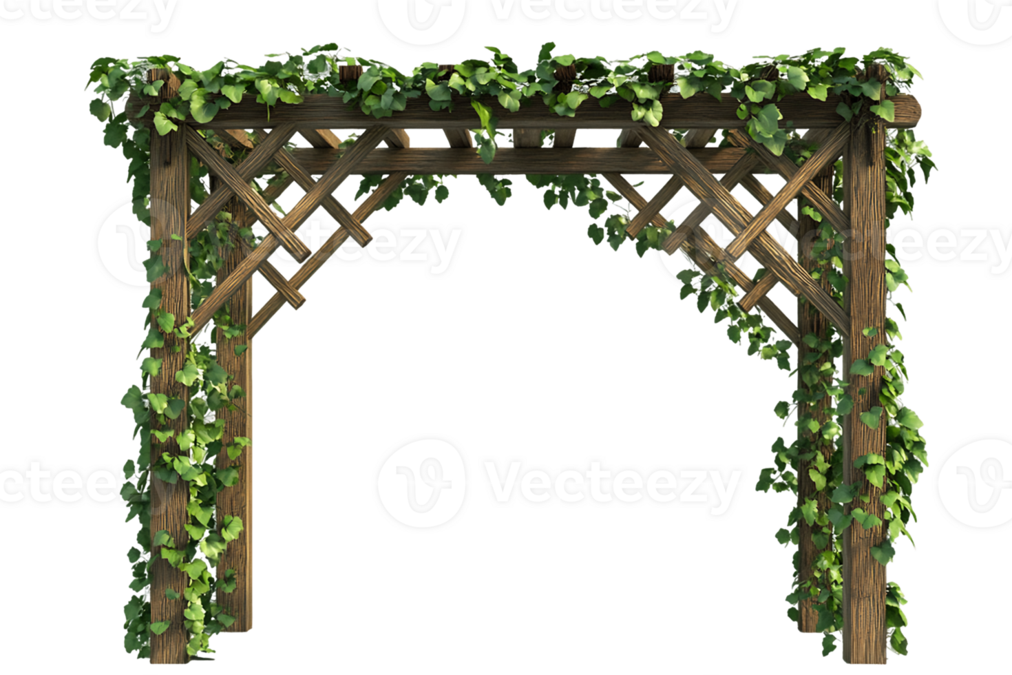 Lush Green Ivy Covered Wooden Arbor against Transparent Background png