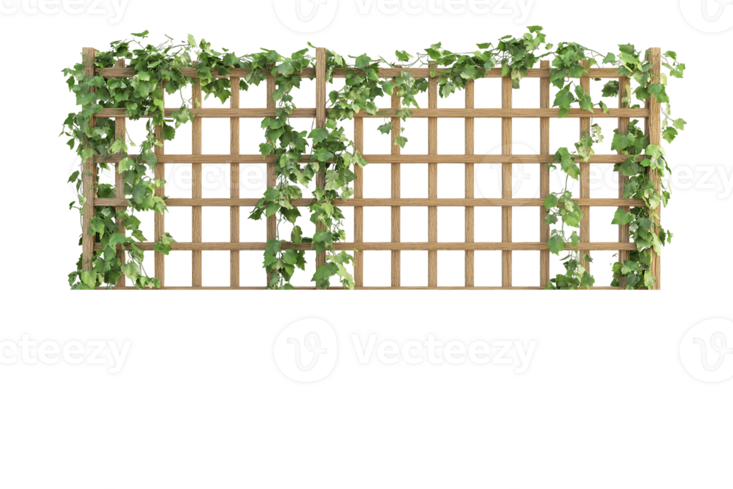 Green Ivy Climbing Wooden Trellis on a Transparent Background png