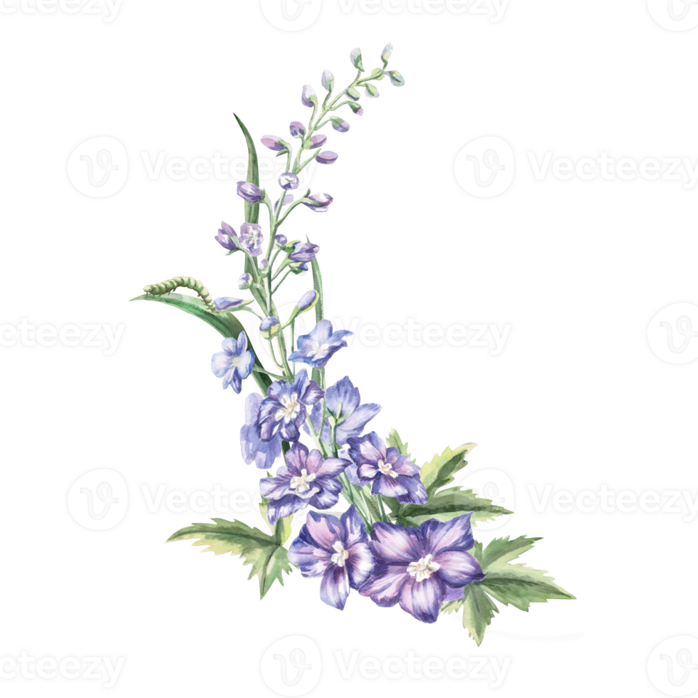 Curved composition with dilphinium flowers, caterpillar. Isolated watercolor illustration of flowers in realistic style for textile design, printing on fabric and clothes, posters. png
