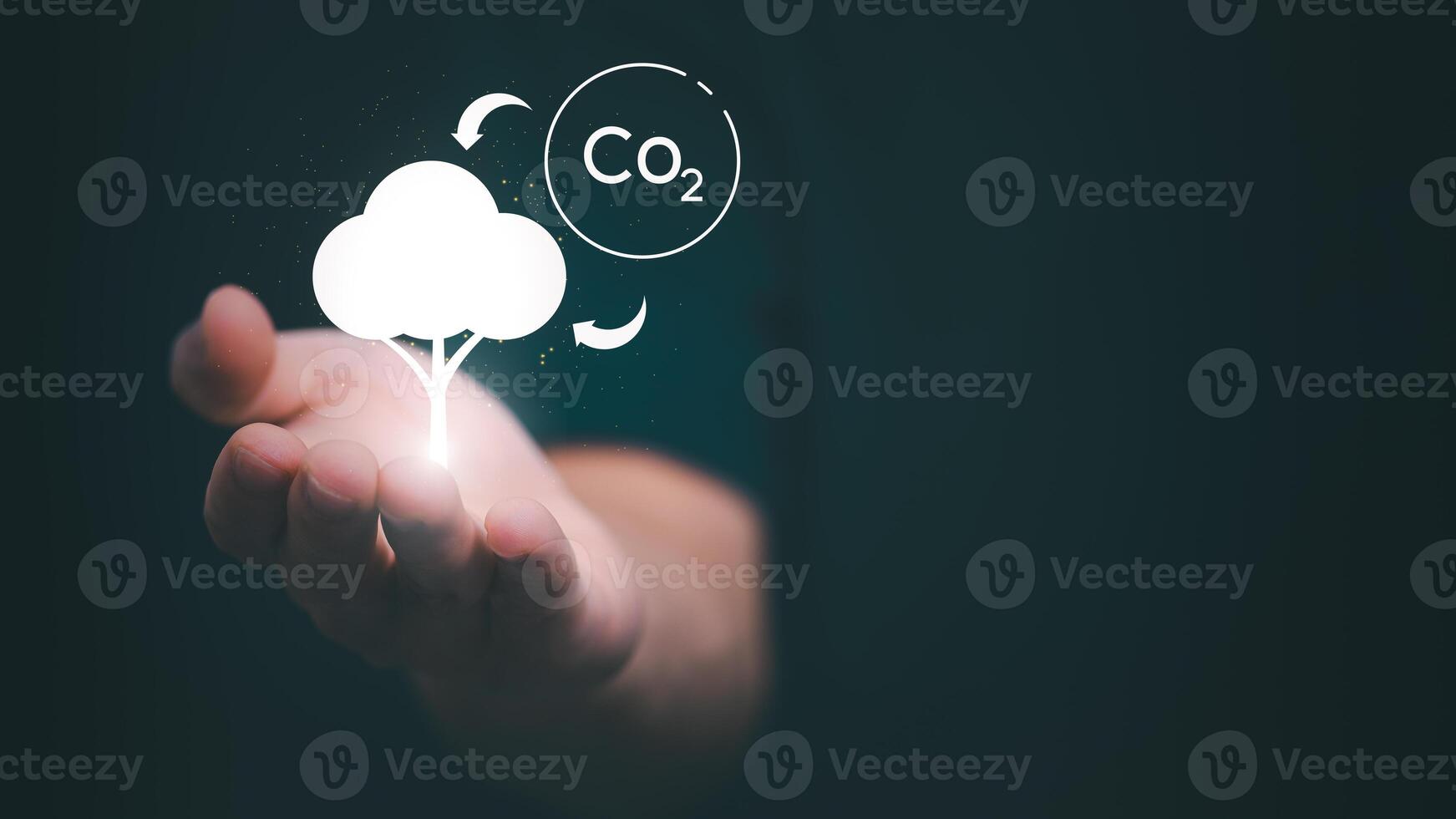 Plants must exchange carbon dioxide at night and oxygen during the day. Ideas for reducing carbon emissions for environmental conservation, green business, and sustainable environmental development. photo