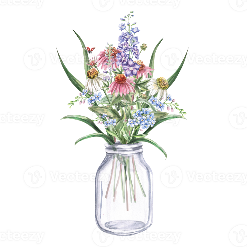 Bouquet of echinacea, forget-me-nots, delphinium in a transparent jar. Isolated watercolor illustration of flowers for textile design, printing on fabric and clothes, posters, decorative elements. png
