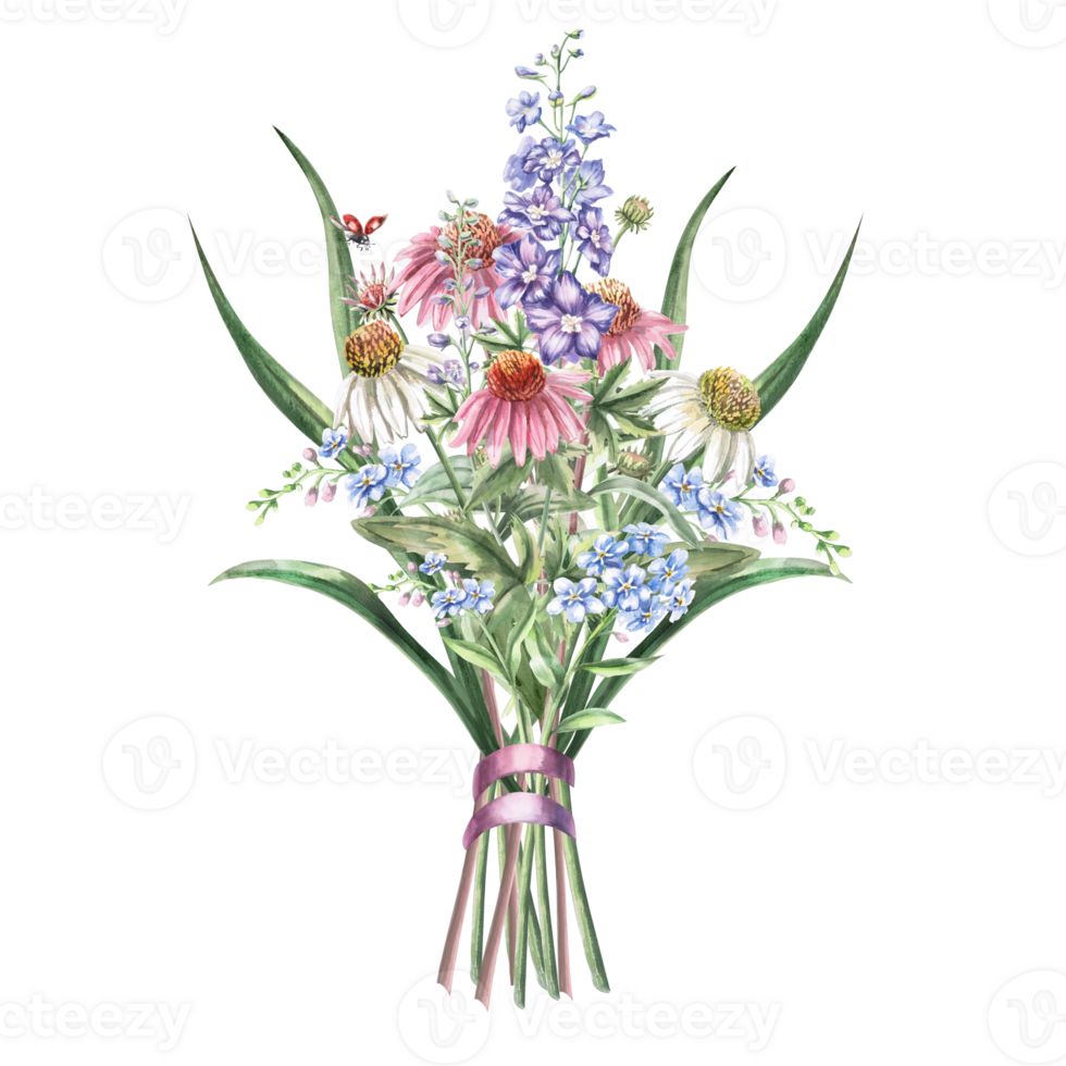 Bouquet of echinacea, forget-me-nots, delphinium, tied with satin pink ribbon. Isolated watercolor illustration of flowers for textile design, printing on fabric , posters, decorative elements. png