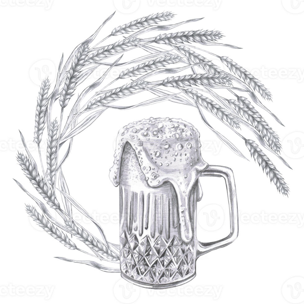 Curved ears of barley with a large beer mug. Isolated pencil illustration in a realistic style for interior design of pubs, restaurants, cookbooks, menus png