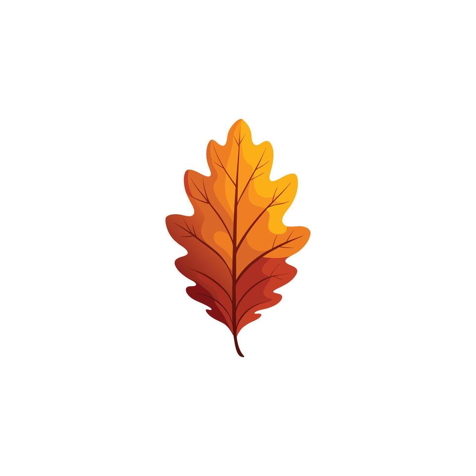 Elegant Oak Leaf Illustration Design on White Background vector