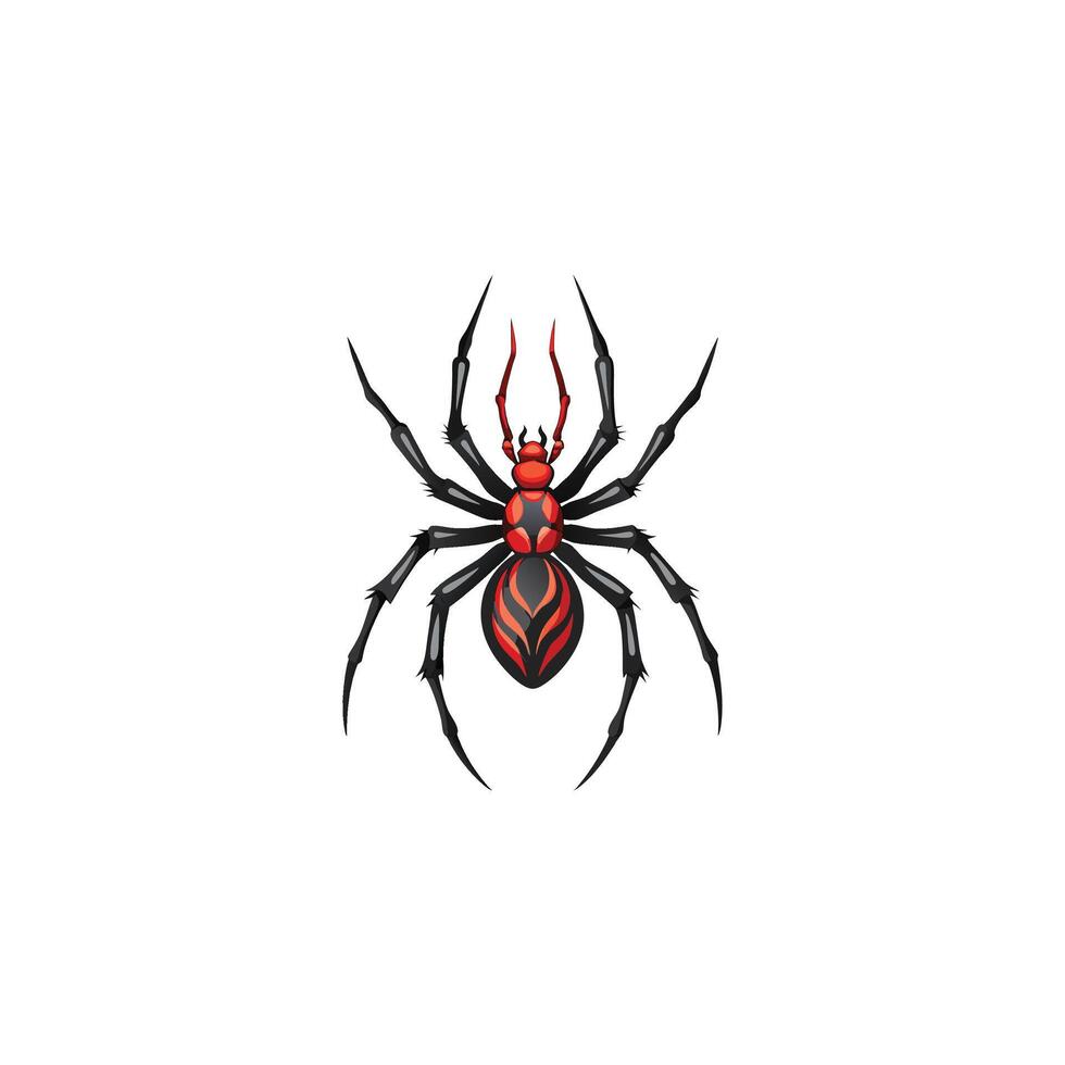 Realistic Spider Illustration Design on White Background vector