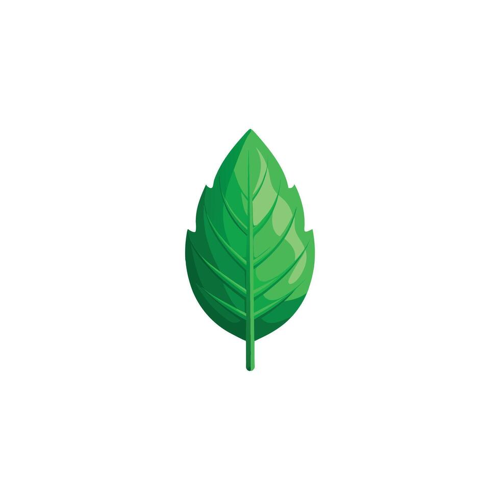 Vibrant Green Leaf Illustration Design on White Background vector