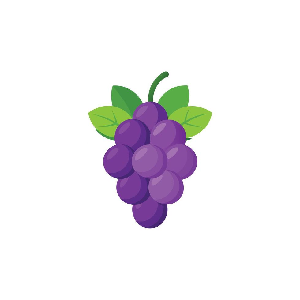 Realistic Grape Bunch Illustration on Clean White Canvas vector