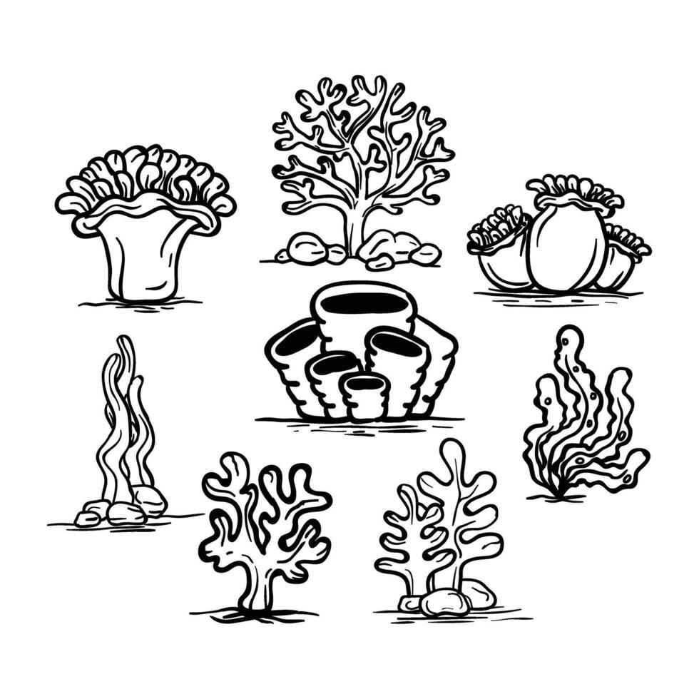 underwater plants and corals set of hand drawn icons vector