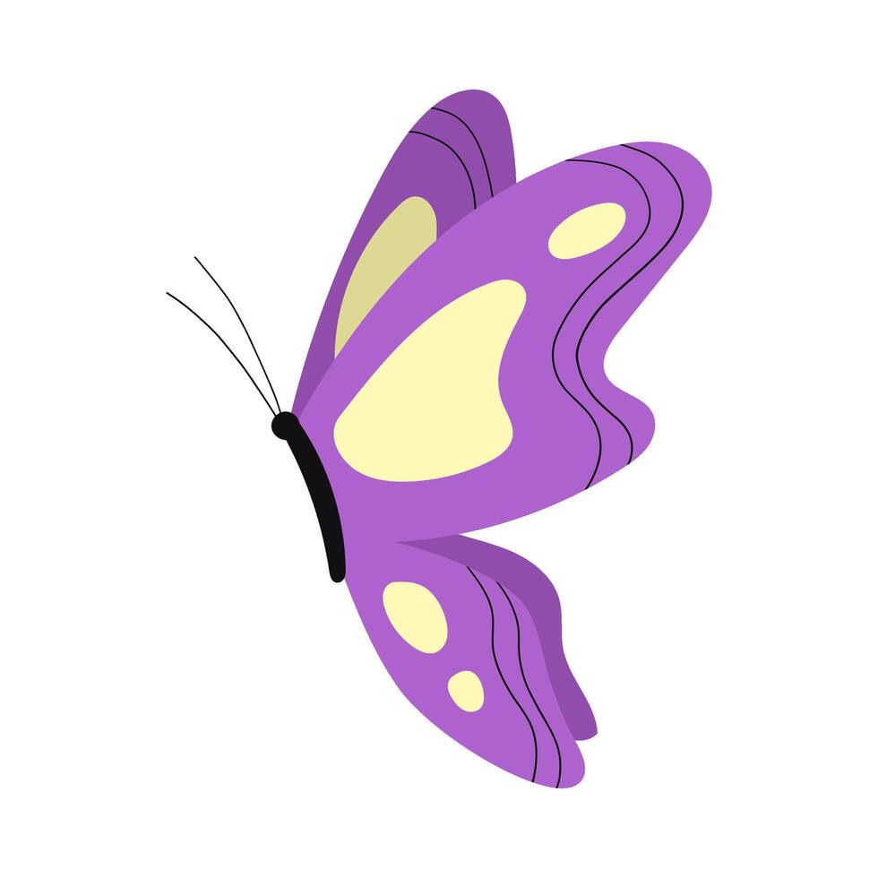 Beautiful magical butterfly illustration vector