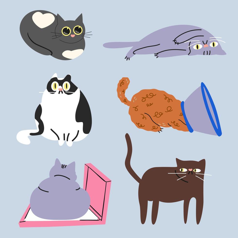 Cartoon cute cats character collection in various poses. illustration vector