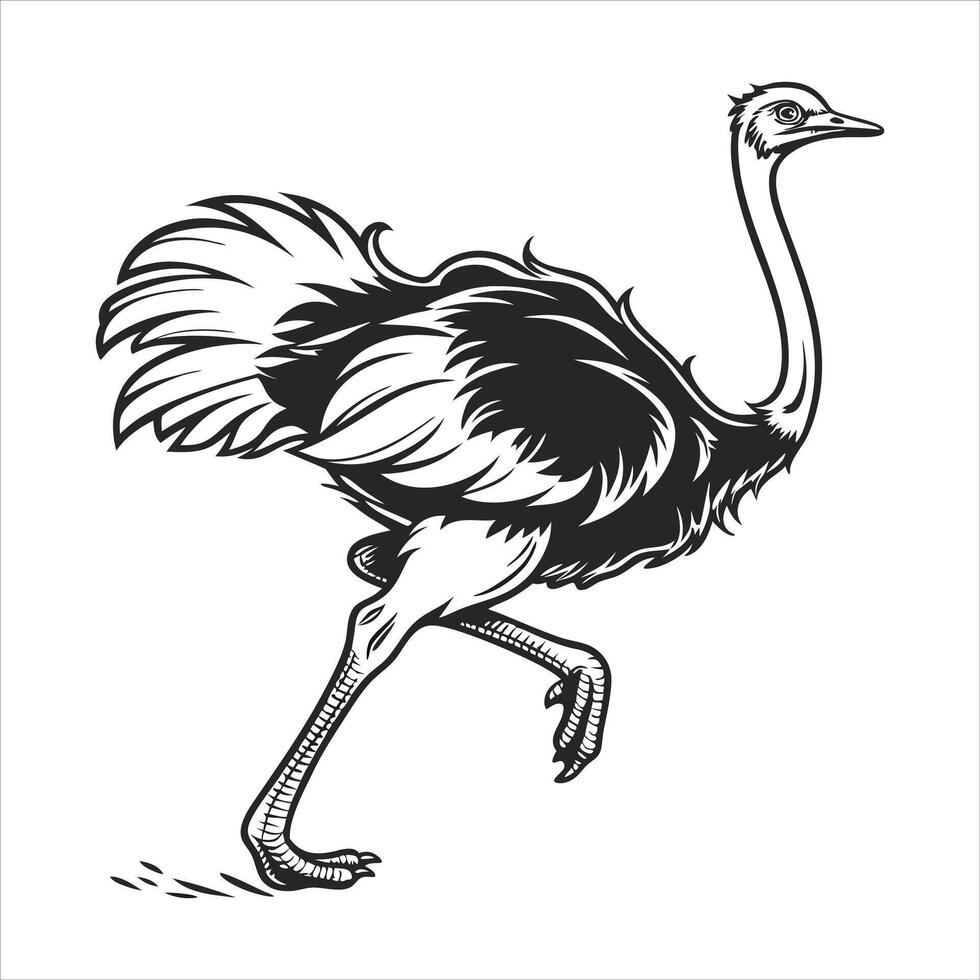Fast Running Ostrich Bird Wildlife vector