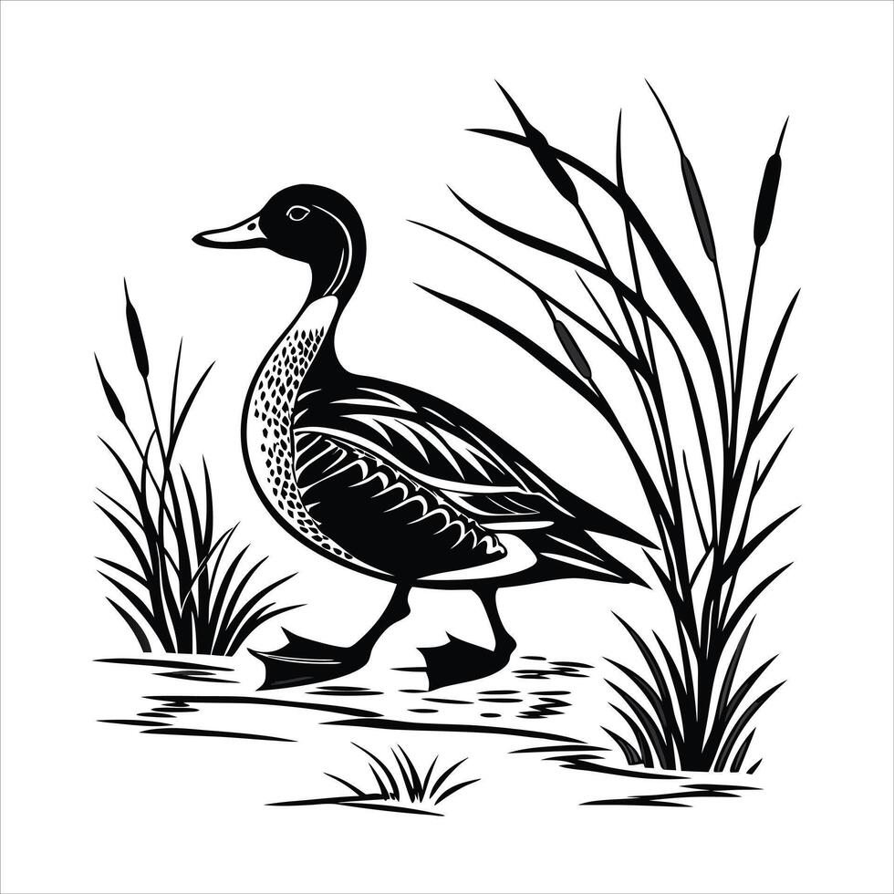 Mallard duck woodcut slyle drawing vector