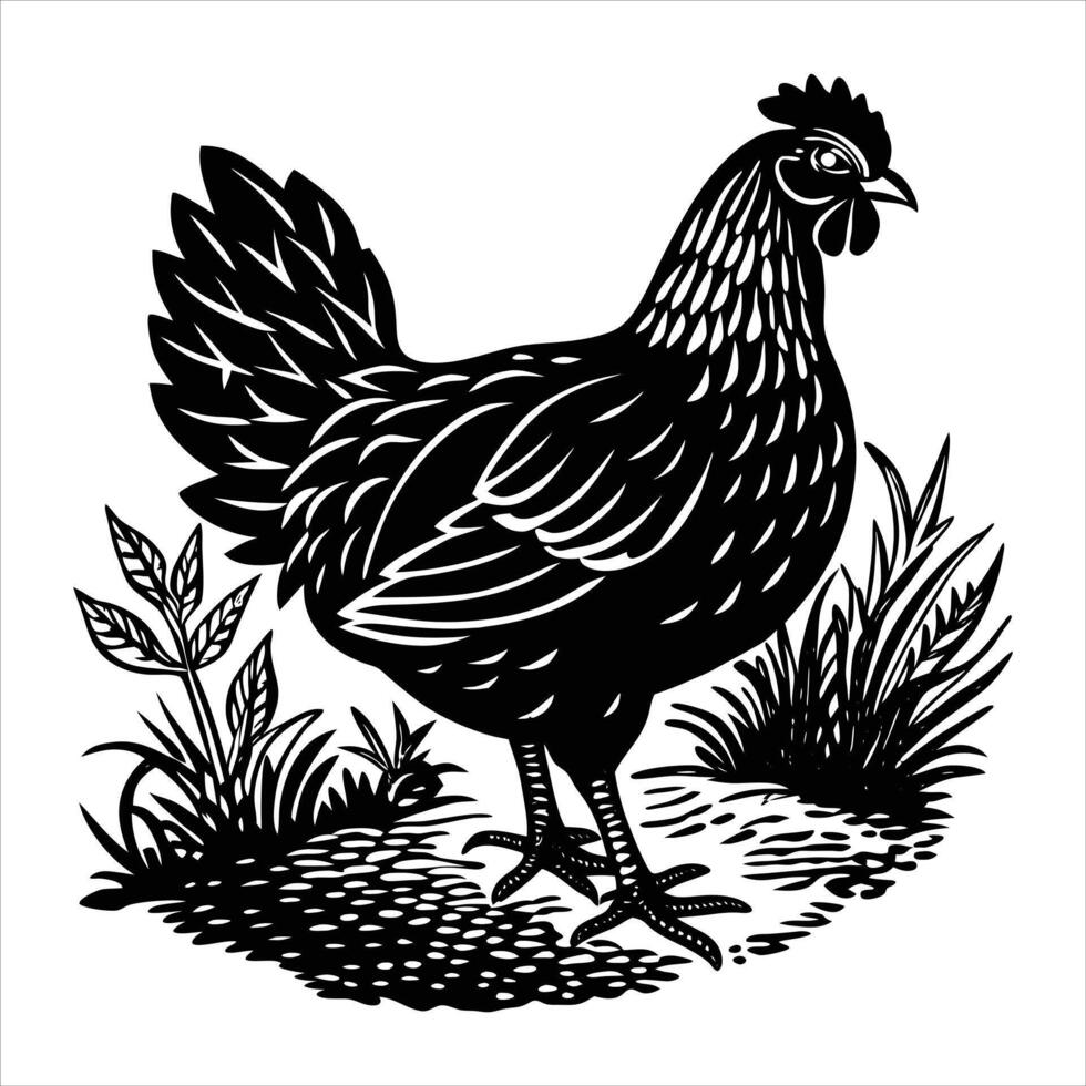 A black and white a chicken vector