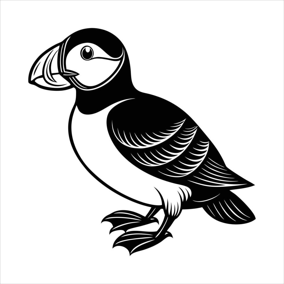 Cartoon Atlantic puffin with expressive vector