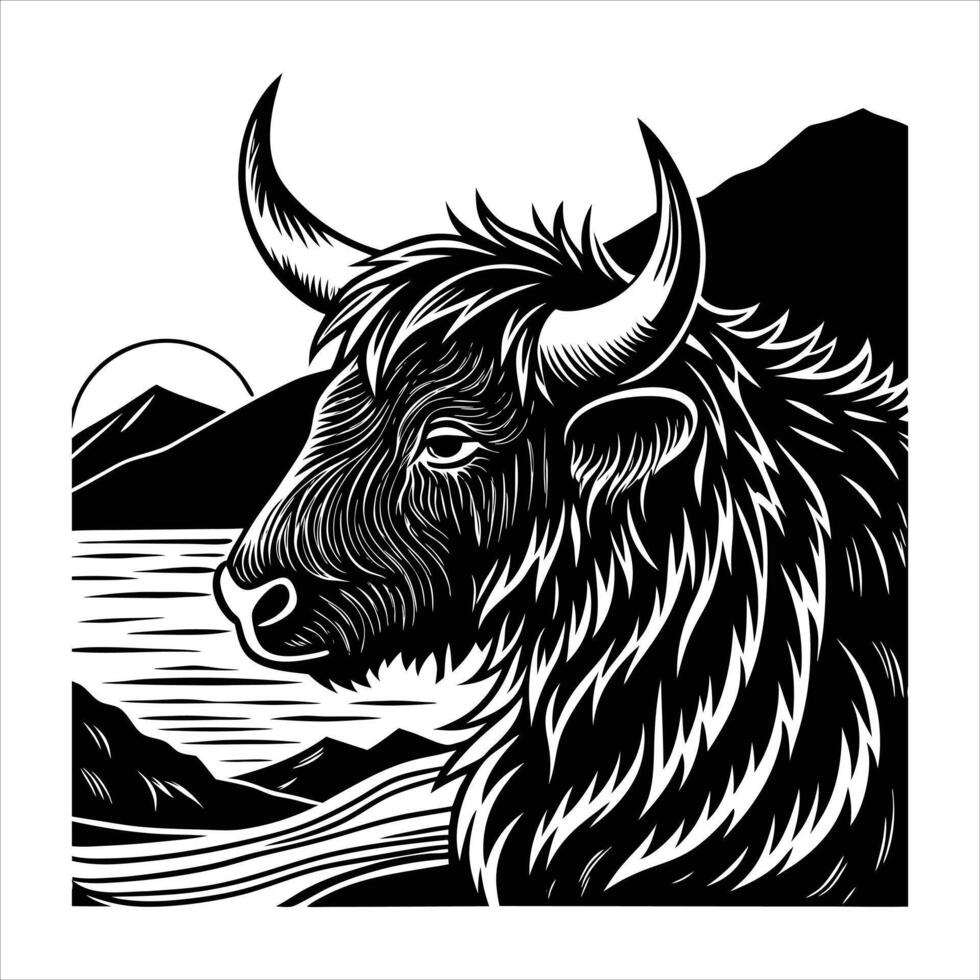 A cartoonist Black Angus cow vector