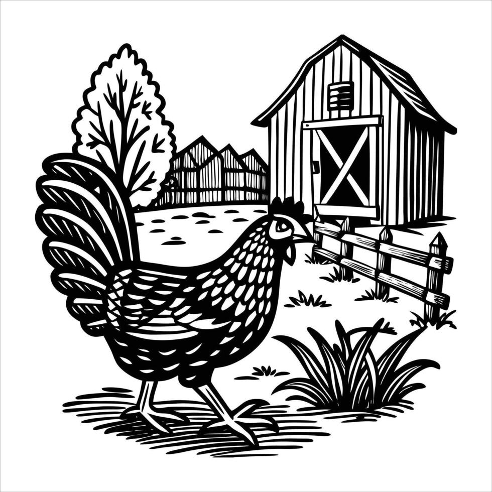 Chicken Standing Ground vector