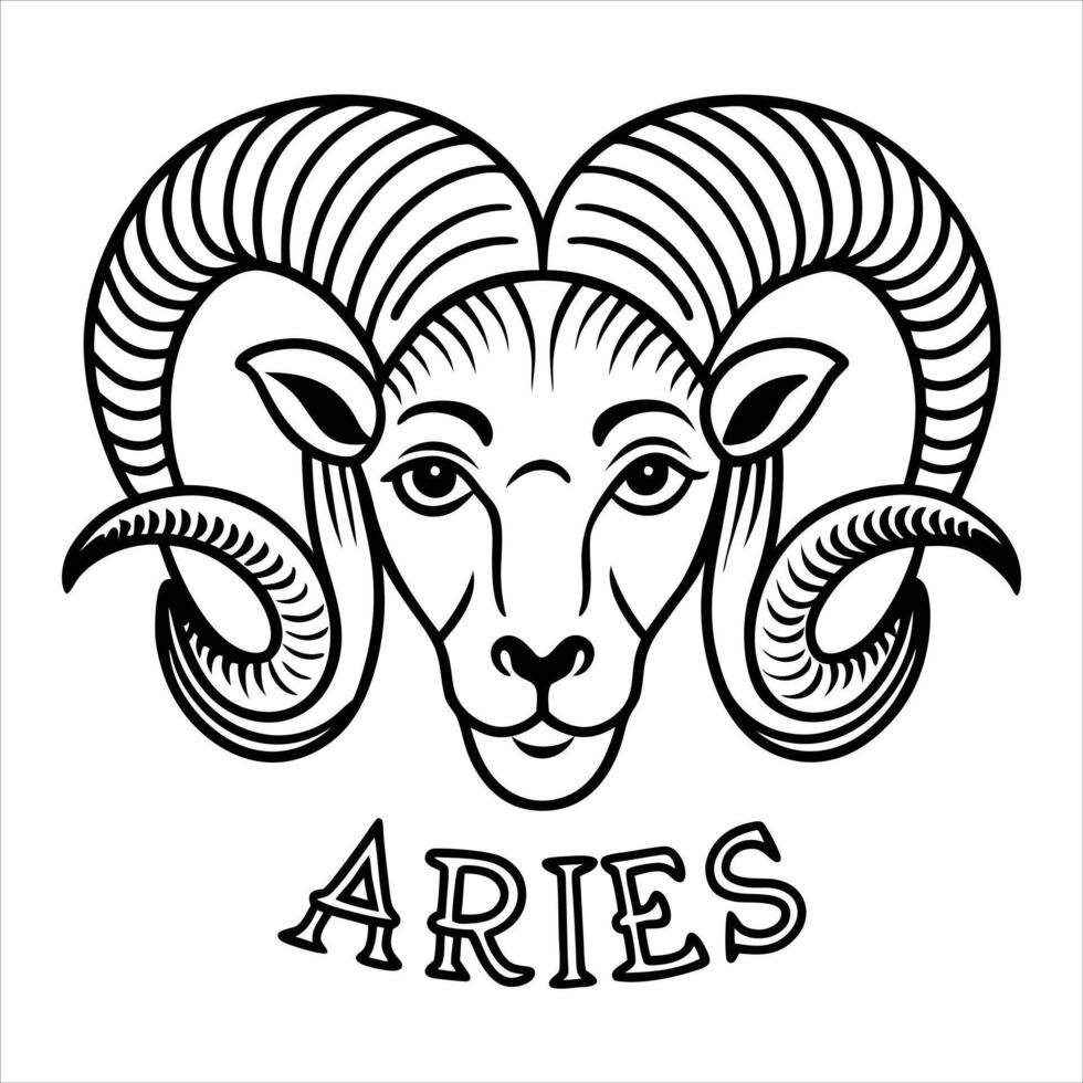 Black White Aries vector