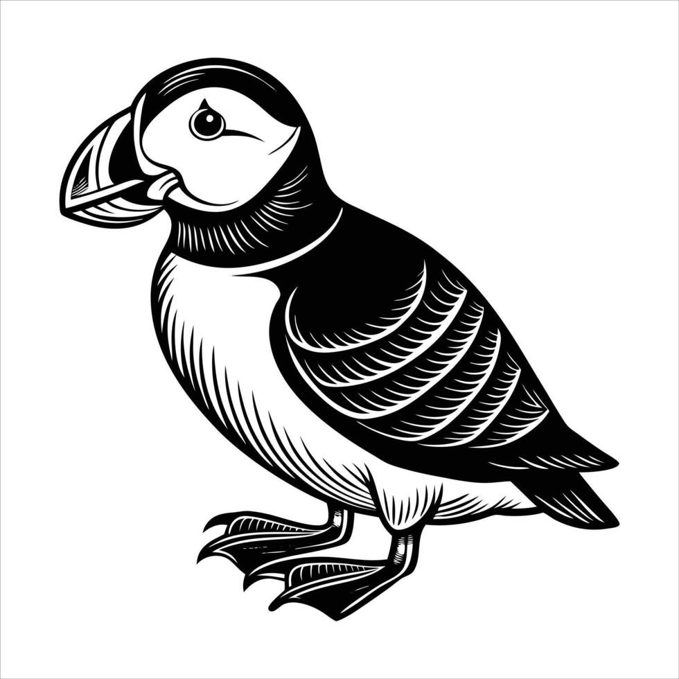 Bird With Puffin Beak vector