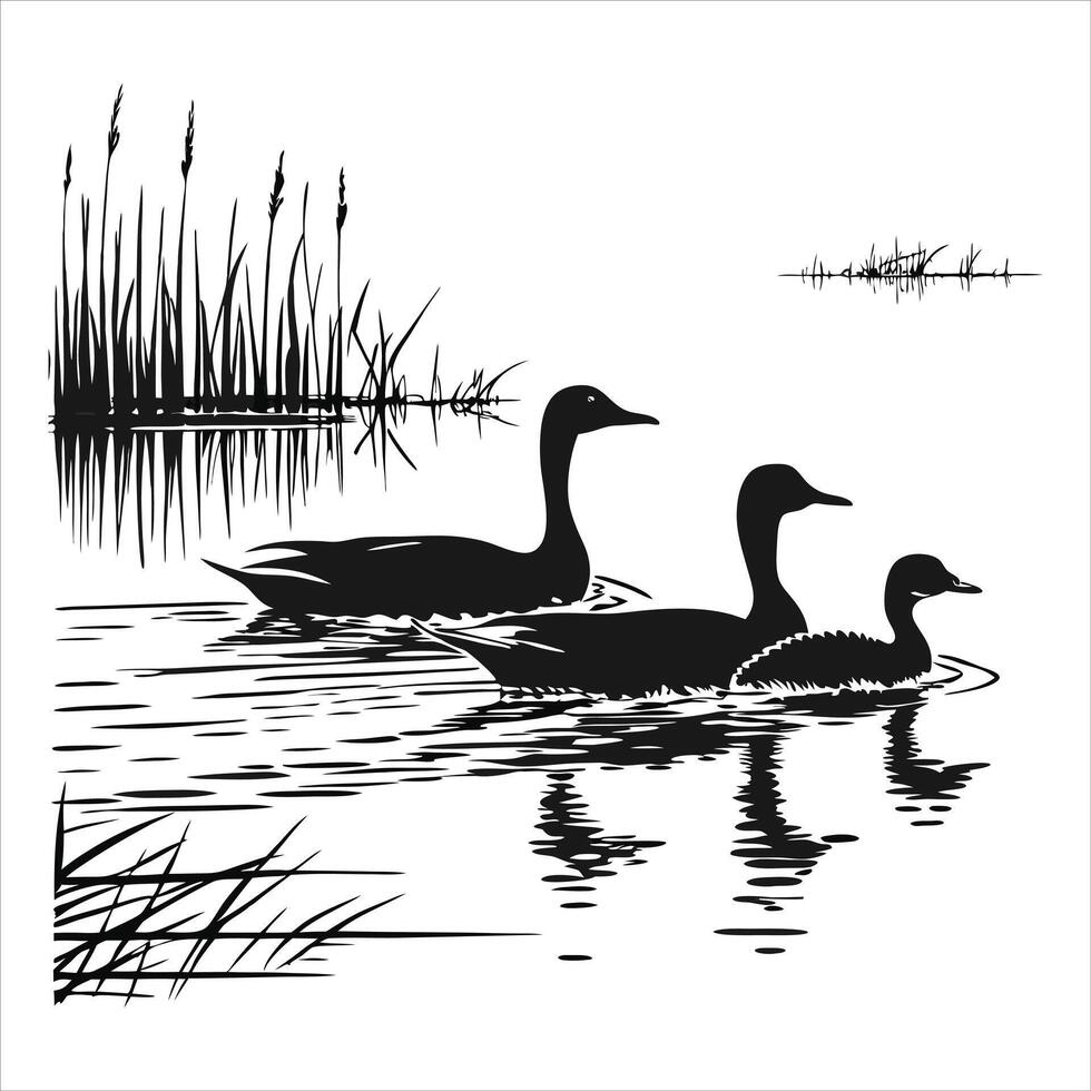A group of ducks swimming in a pond vector