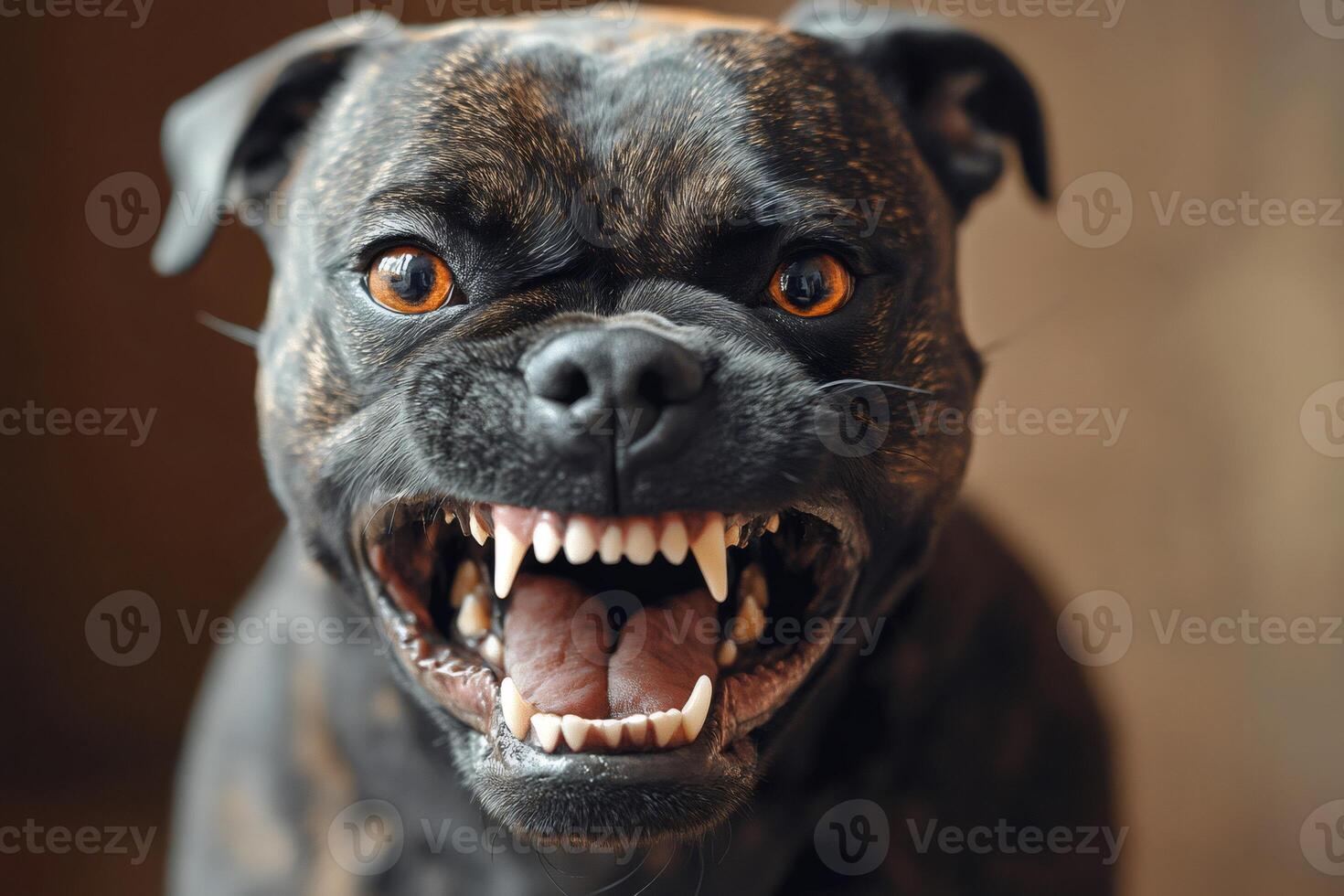 Angry guard dog showing teeth and growling photo