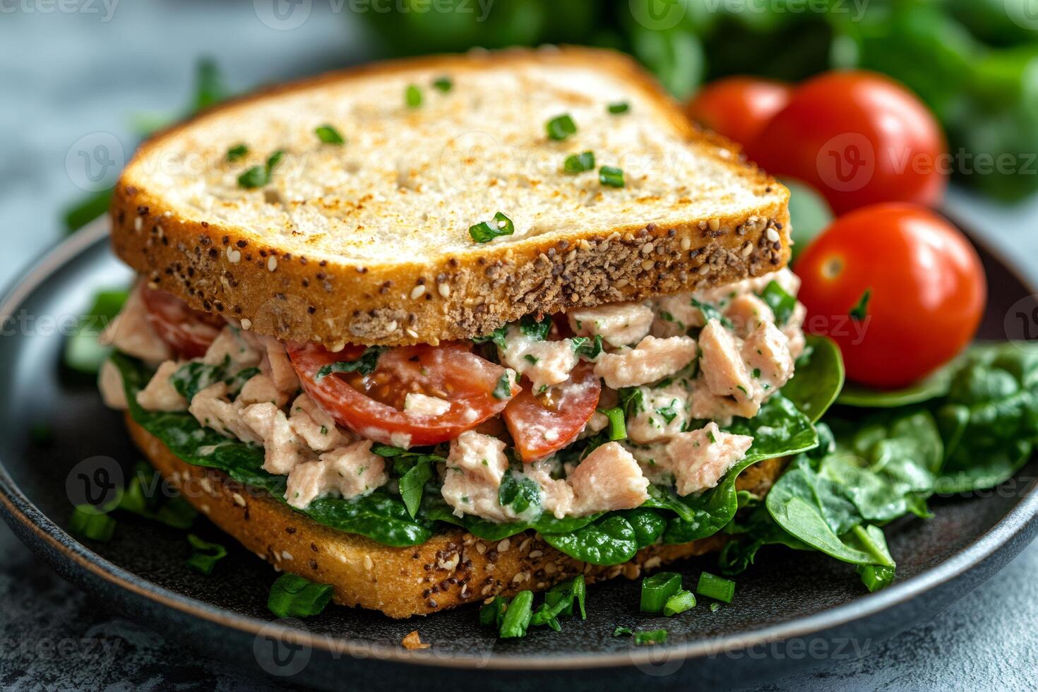 Toasted multigrain sandwich filled with tuna salad, spinach, and tomatoes photo