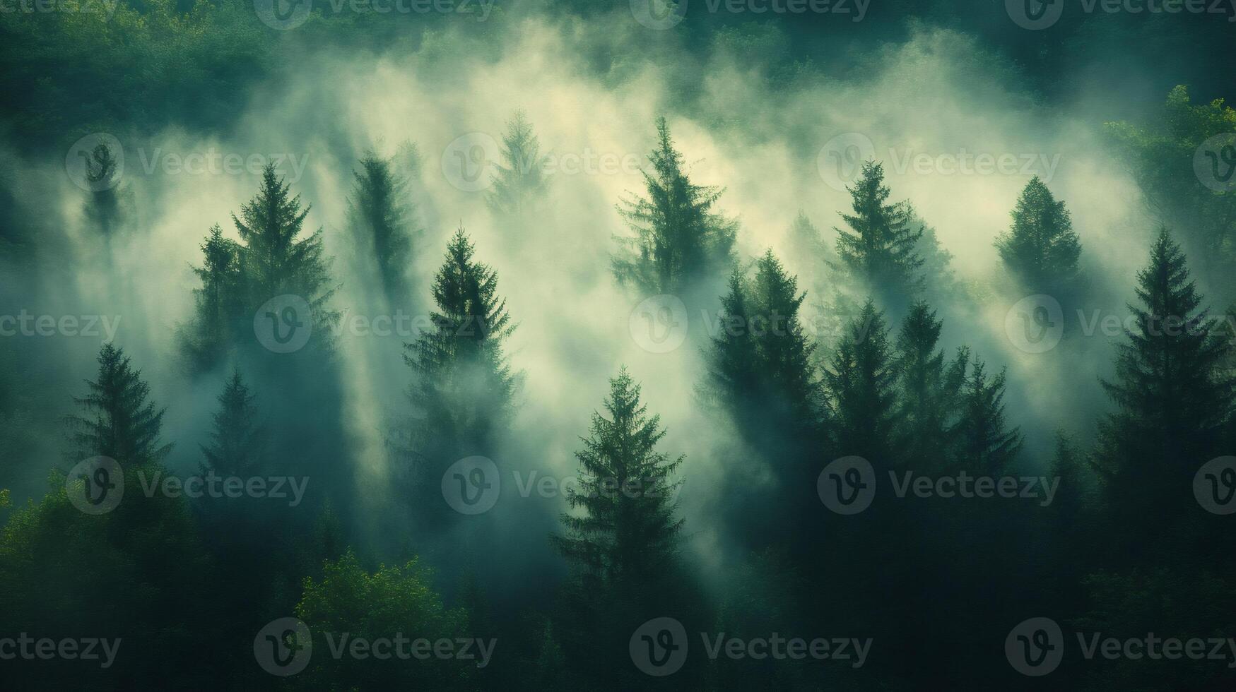 Misty forest landscape with fog covering evergreen trees.. photo