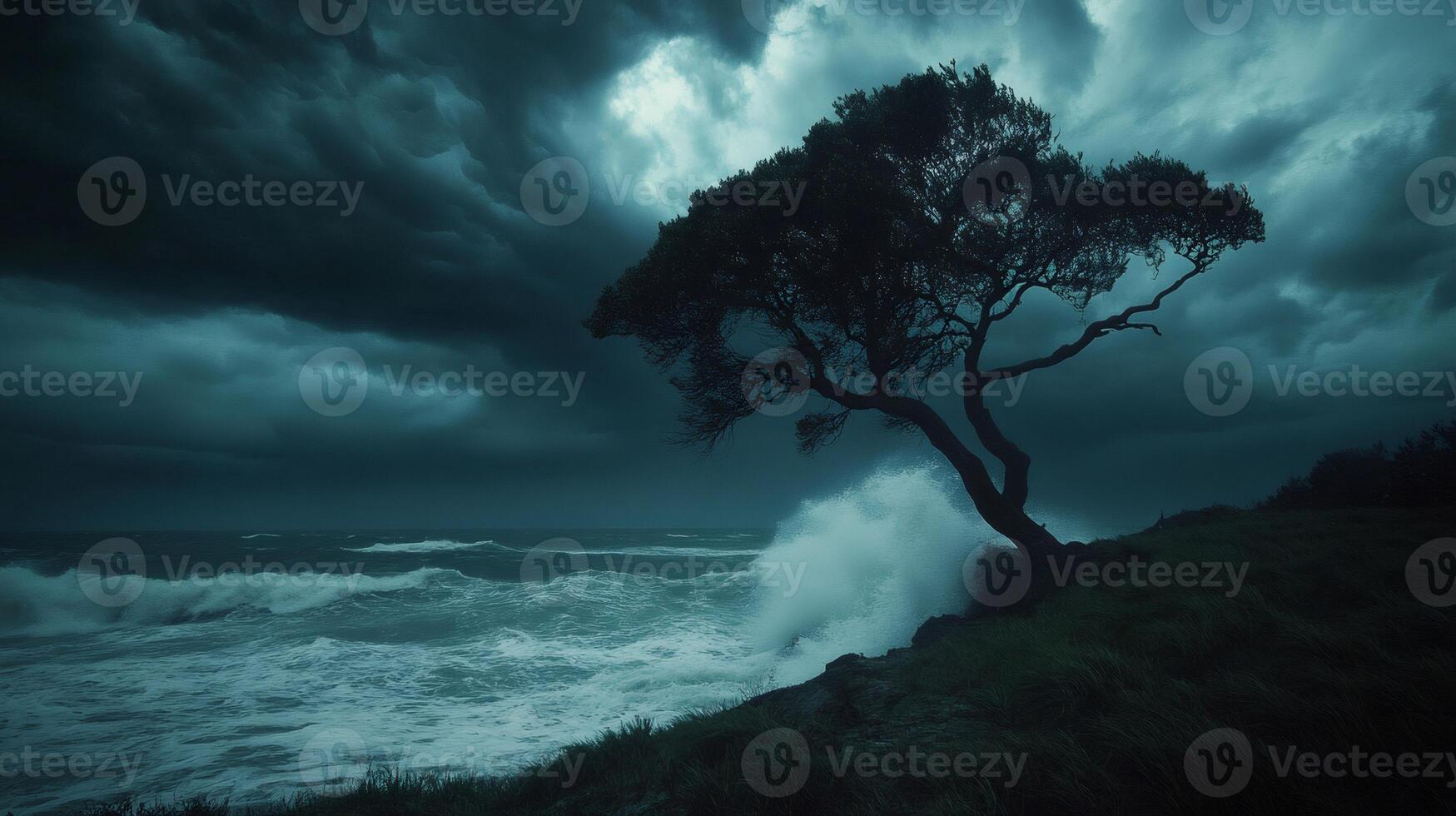 Lonely tree resisting storm on dramatic coastline photo
