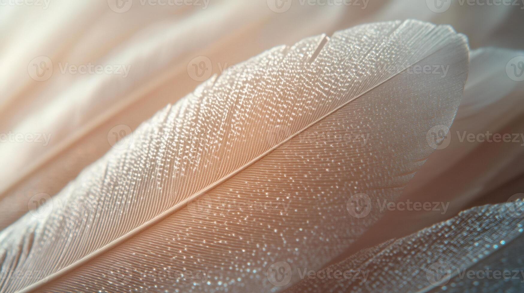 Close up macro photograph of delicate white feather showing intricate details photo
