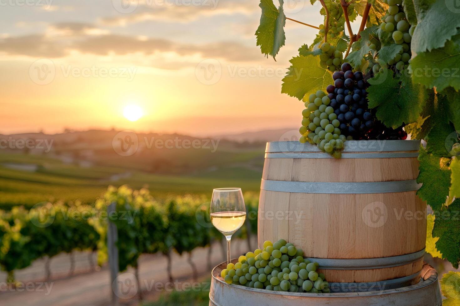 Glass of white wine and grapes resting on wooden barrels in vineyard at sunset photo