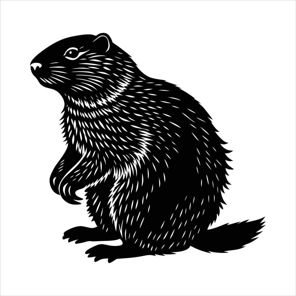 Otter Head Logo vector