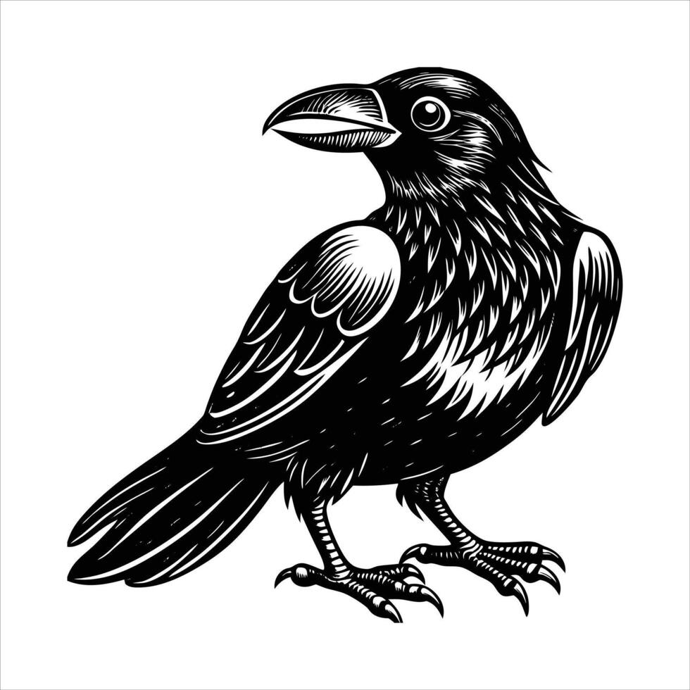 Haunting Scary Crow vector