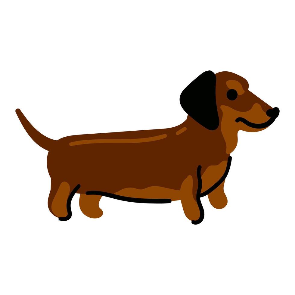 Dachshund illustration isolated on white background in cartoon style. Small funny dog vector