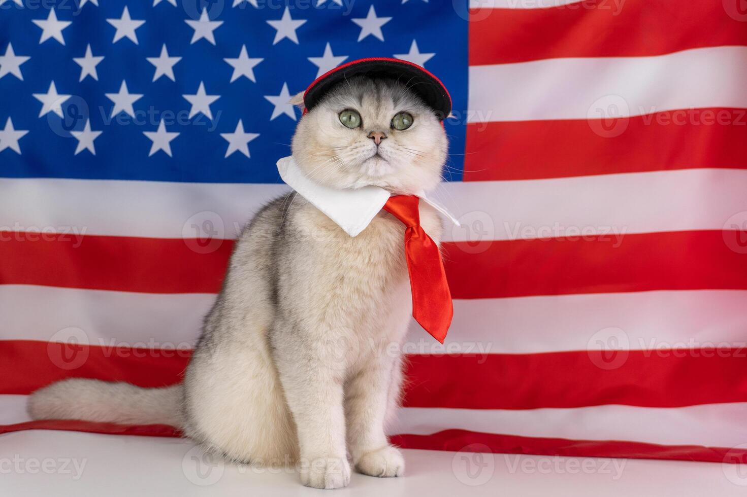 Patriotic cat dressed in red tie and hat with american flag background photo