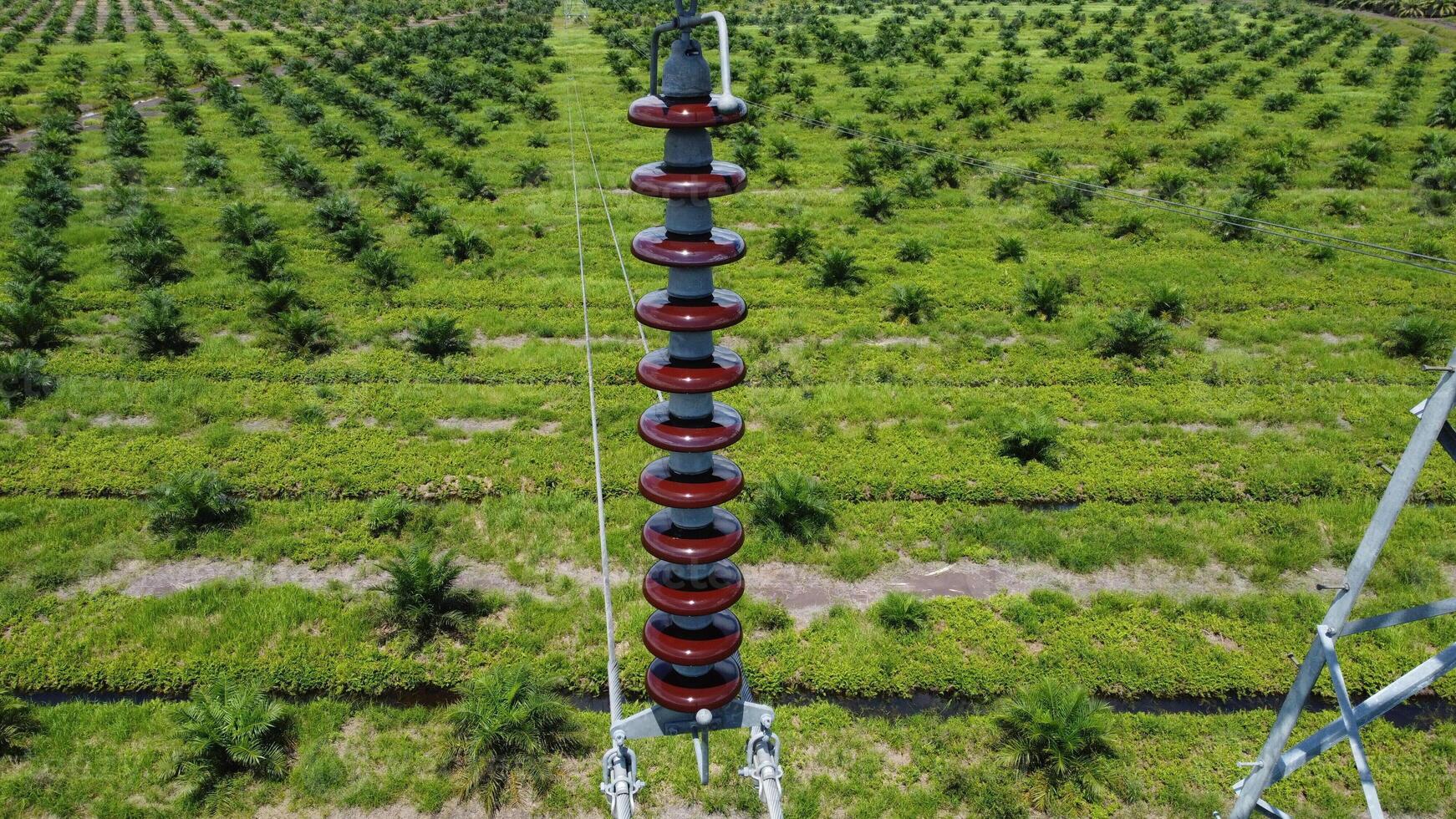 View a huge area of Agricultural industry palm oil 23 photo