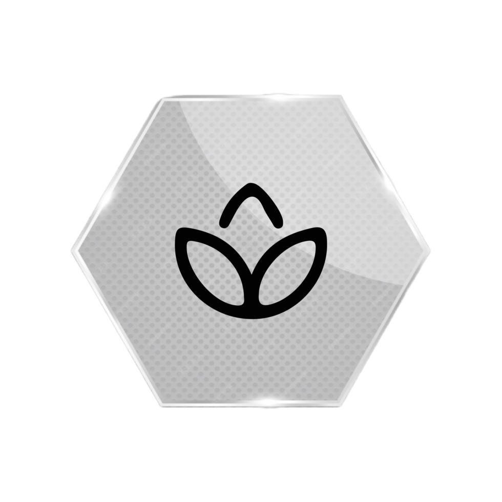 A flat and white hexagon button with a leaf on it png