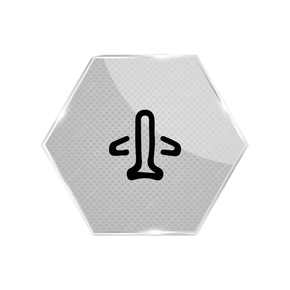 A hexagon button with a plane on it png