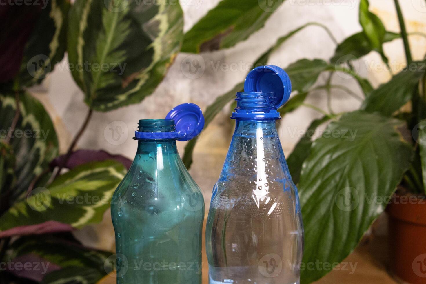 Two water bottle with stationary plastic cap. Room plants in background photo