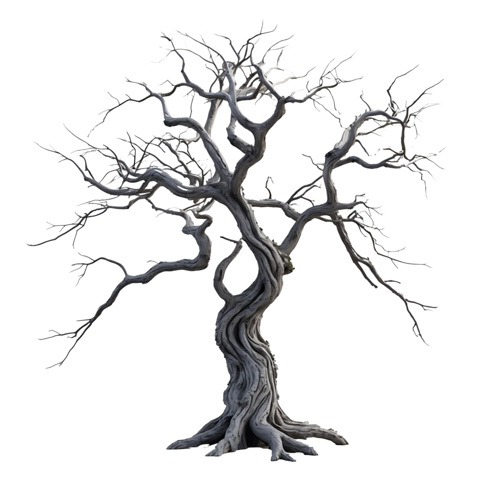 Realistic Dead Tree High-Quality Transparent Background Image png