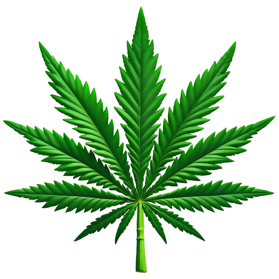 Isolated Hemp Leaf Stock Image Ideal for Branding Marketing png
