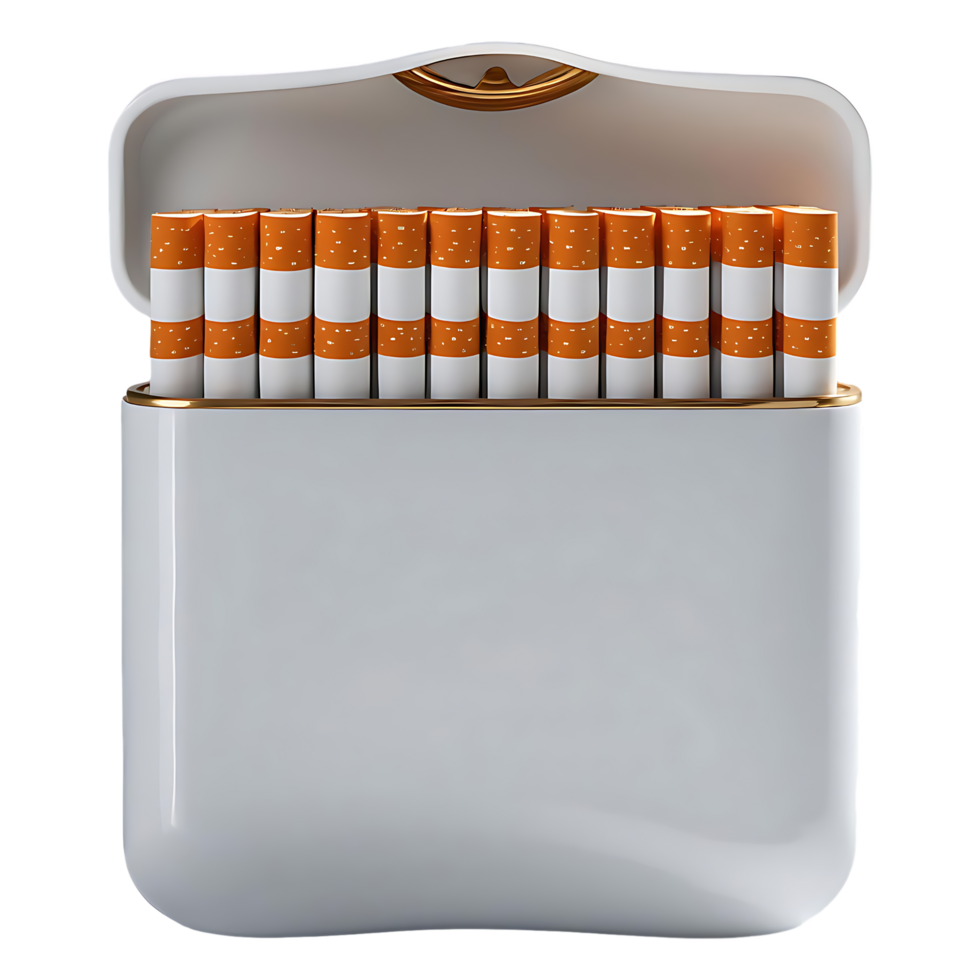 Open Cigarette Pack Template Ideal for Advertising Packaging Design png