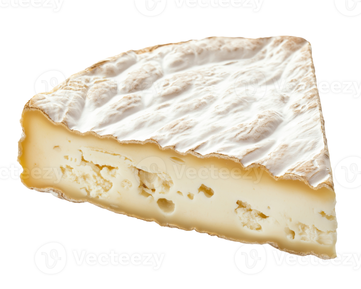 Piece of Camembert Cheese png