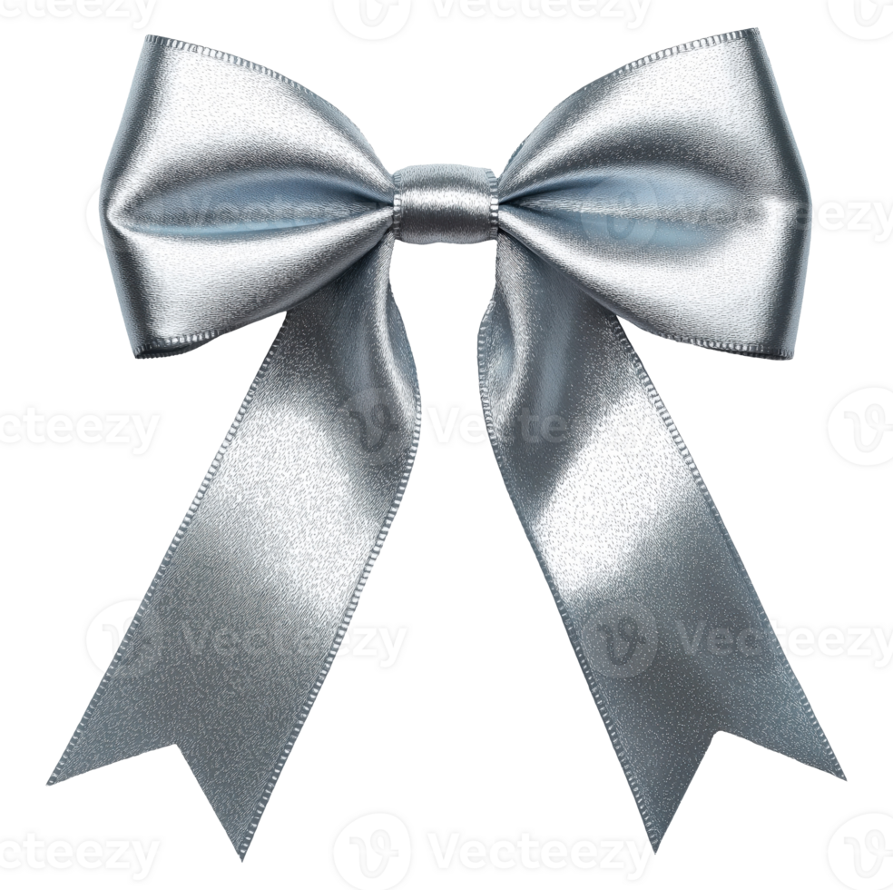 Shiny Silver Bow png