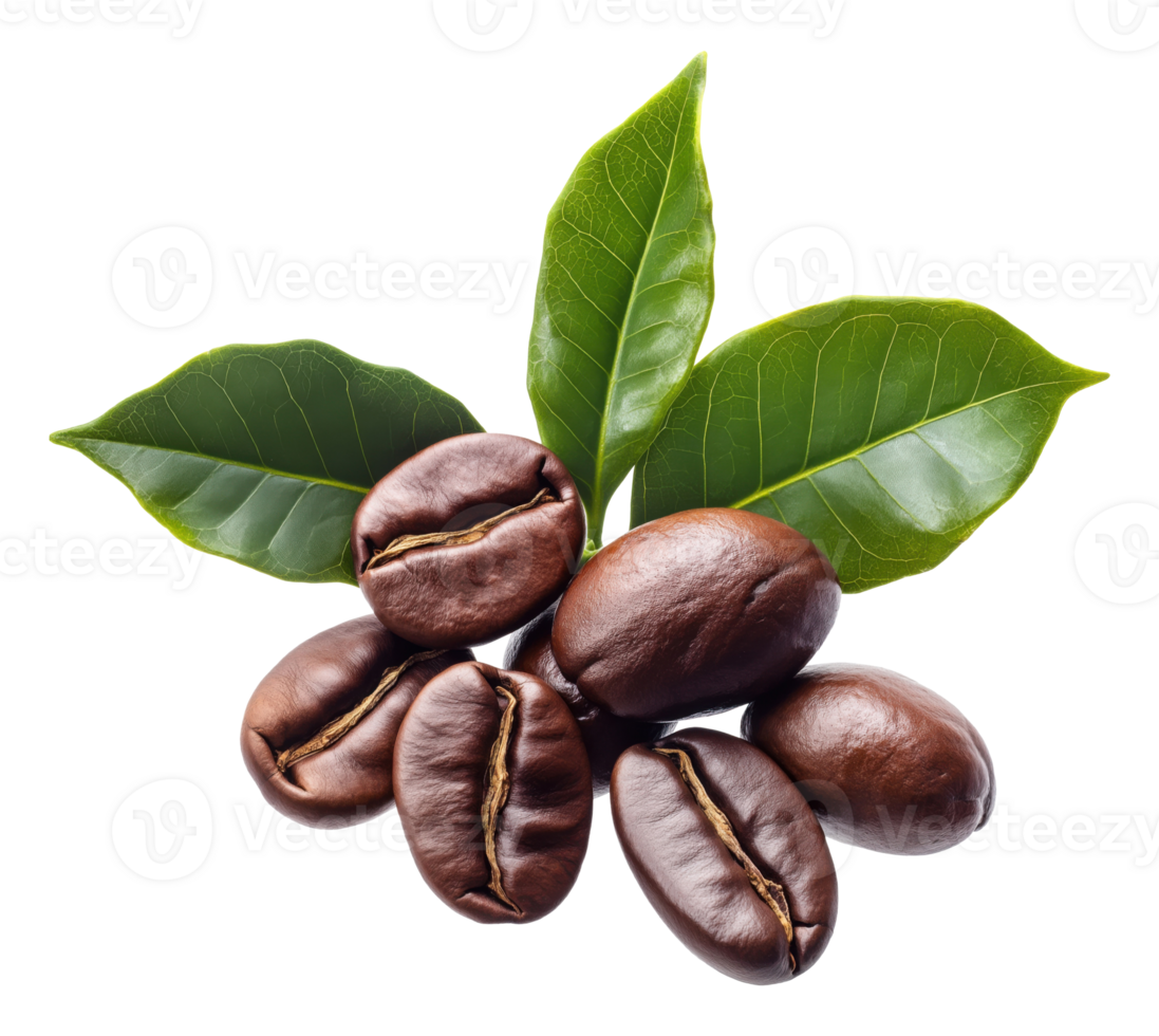 Coffee Beans with Green Leaves, Cut Out png