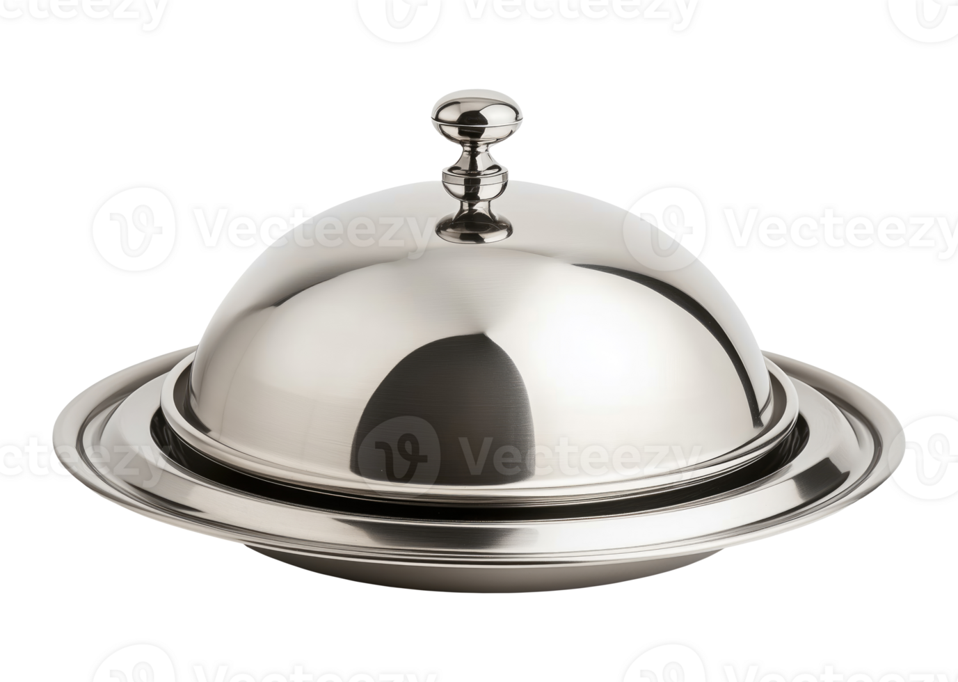 Steel Serving Cloche png