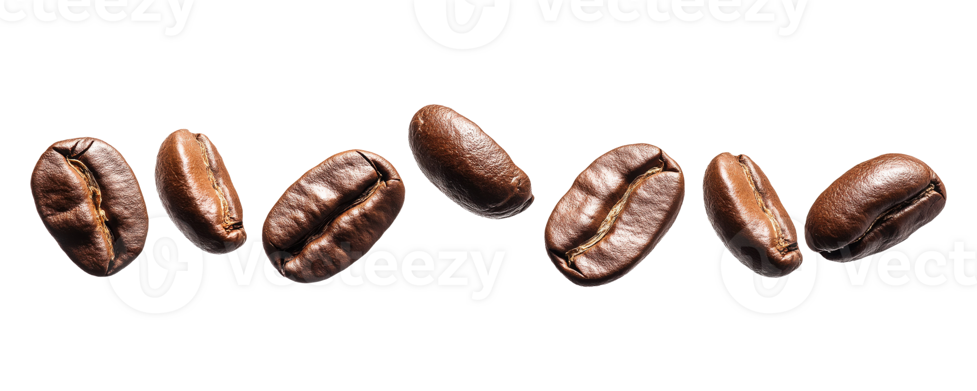 Row of coffee beans isolated on transparent background png