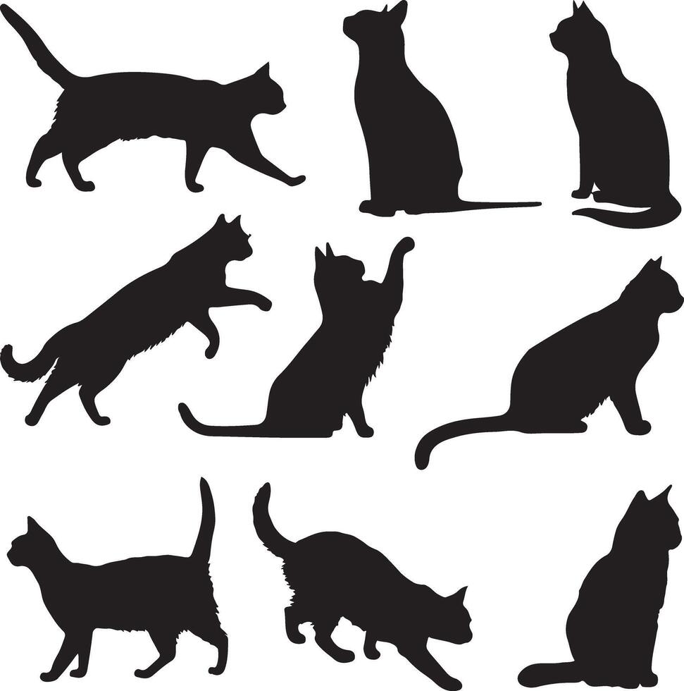 Collection of cat silhouettes in various poses isolated on background vector