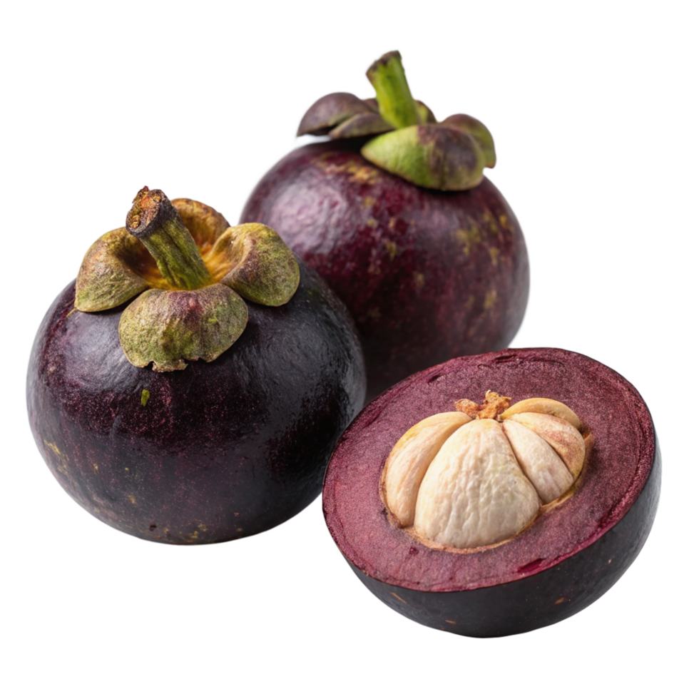 Icaco fruit isolated png